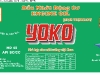 yoko-18l-hd-40-2009.jpg