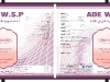 nhan-ade-wsp-100g-ta-arab-saudi_goc-160223