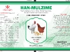 nhan-han-mulzime-1kg-ta-pakistan_goc-151210