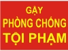 gay-chong-toi-pham.jpg