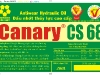 canary-68-2009.jpg